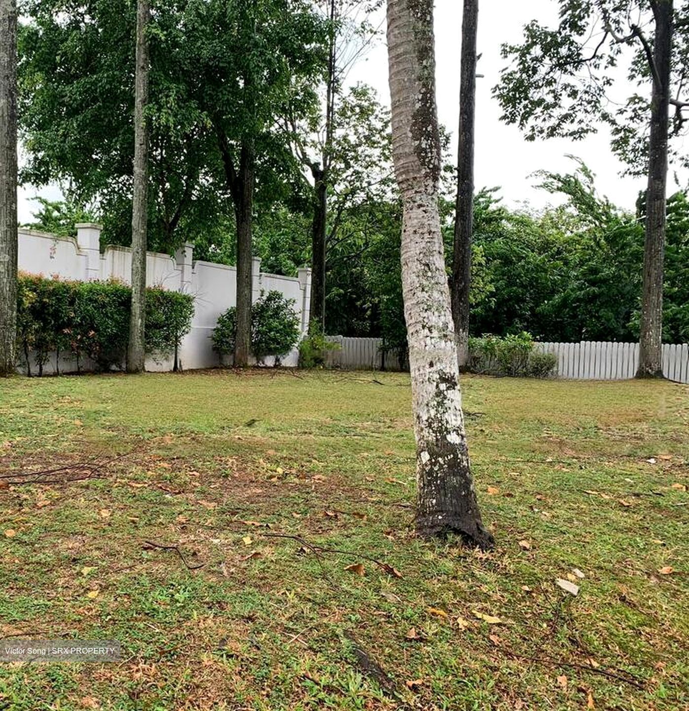 Leedon Park (D10), Detached #454028211